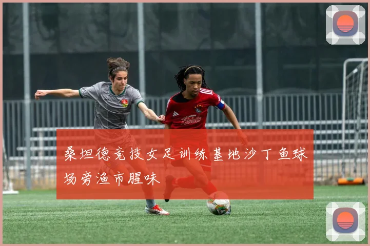桑坦德竞技女足训练基地沙丁鱼球场旁渔市腥味