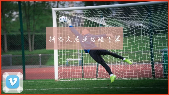 斯洛文尼亚边路飞翼