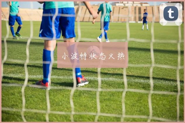 小波特状态火热