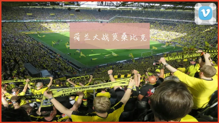 荷兰大战莫桑比克