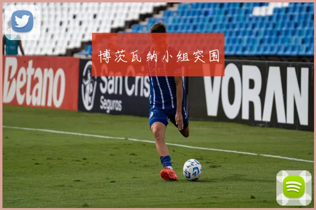 博茨瓦纳小组突围