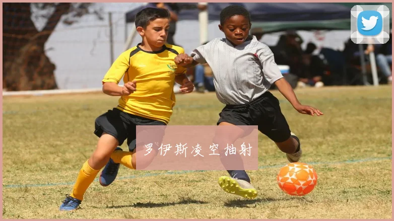 罗伊斯凌空抽射