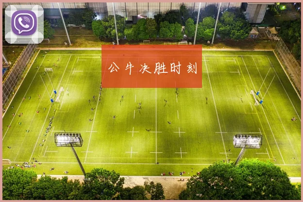 公牛决胜时刻