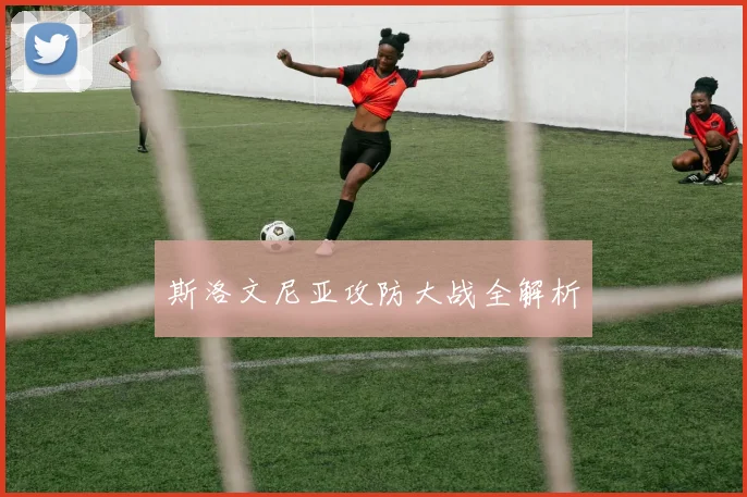 斯洛文尼亚攻防大战全解析