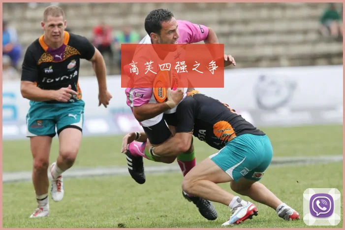 高芙四强之争