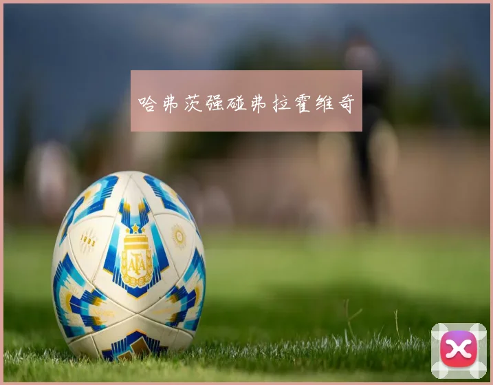 哈弗茨强碰弗拉霍维奇
