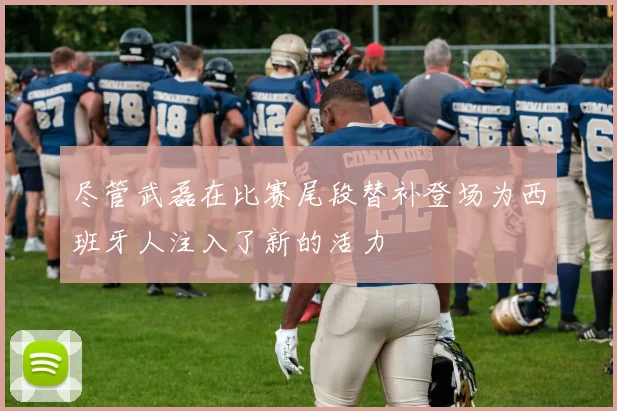 尽管武磊在比赛尾段替补登场为西班牙人注入了新的活力