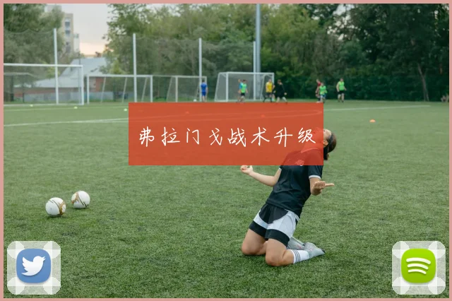 弗拉门戈战术升级