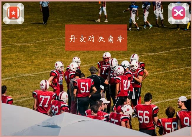 丹麦对决南非