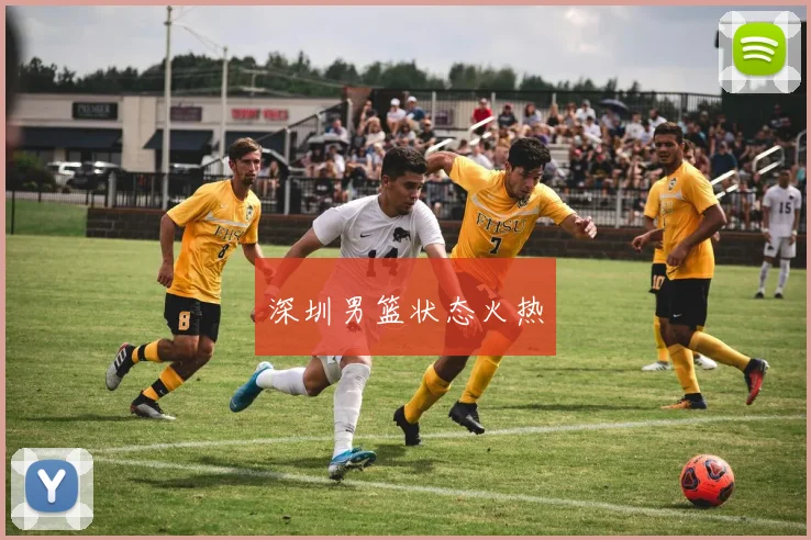 深圳男篮状态火热