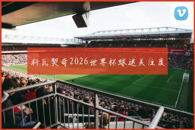 科瓦契奇2026世界杯球迷关注度